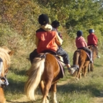 Balade à poney