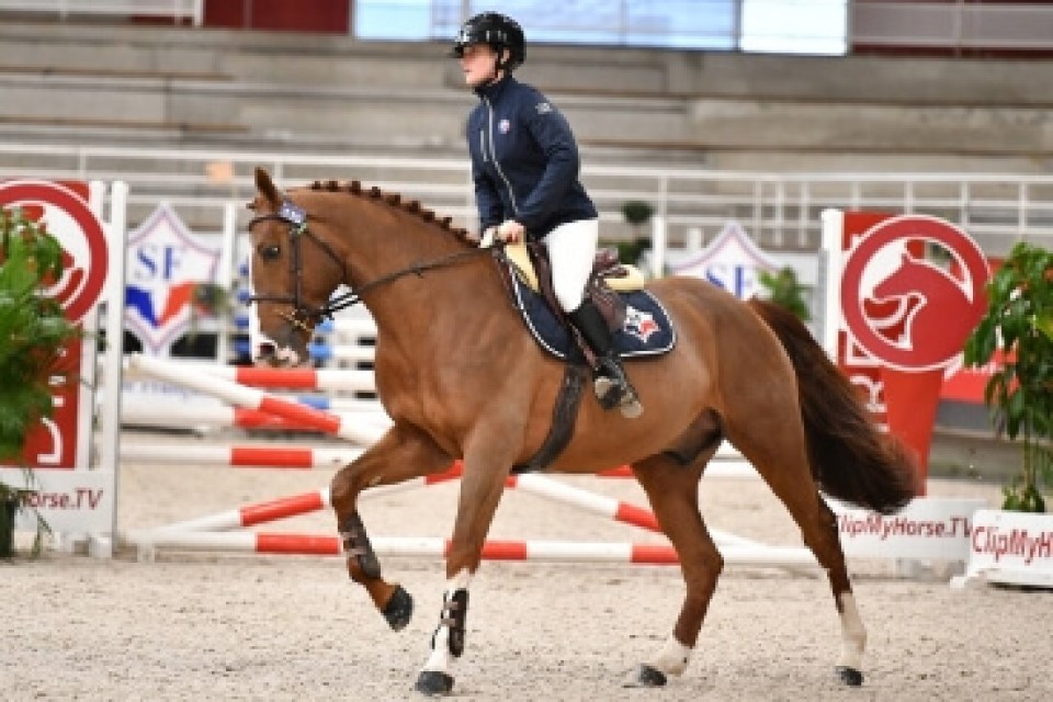 Concours Régional de Dressage