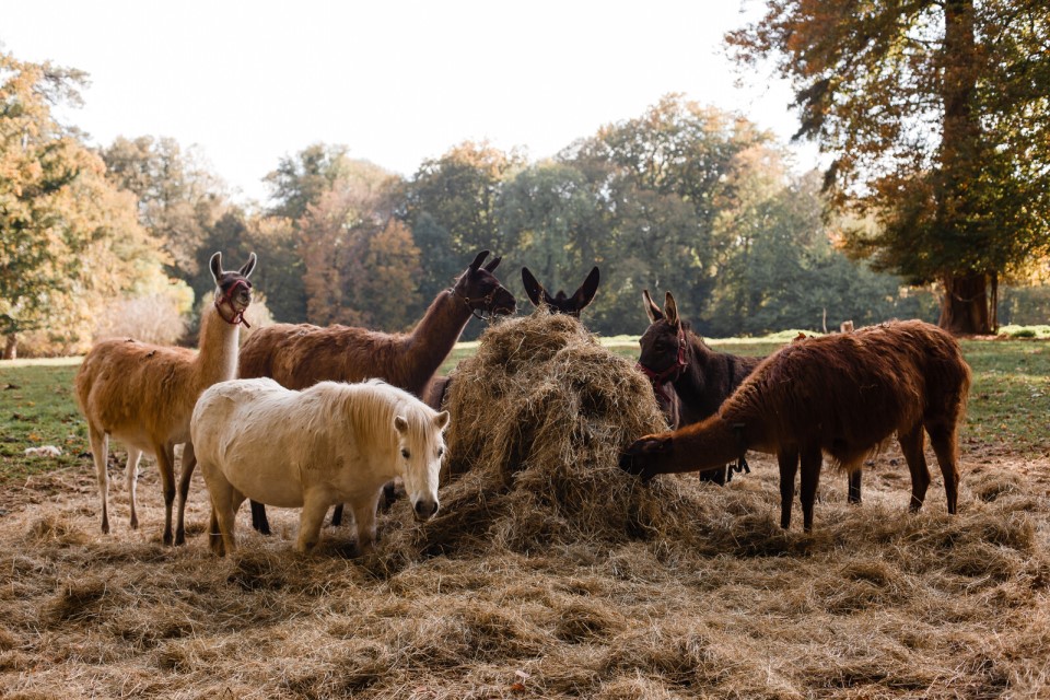 Ferme pédagogique à Ouezy.