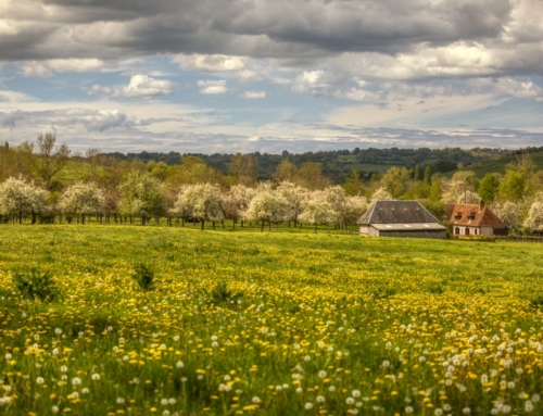 Discovering the Eure: between nature and heritage