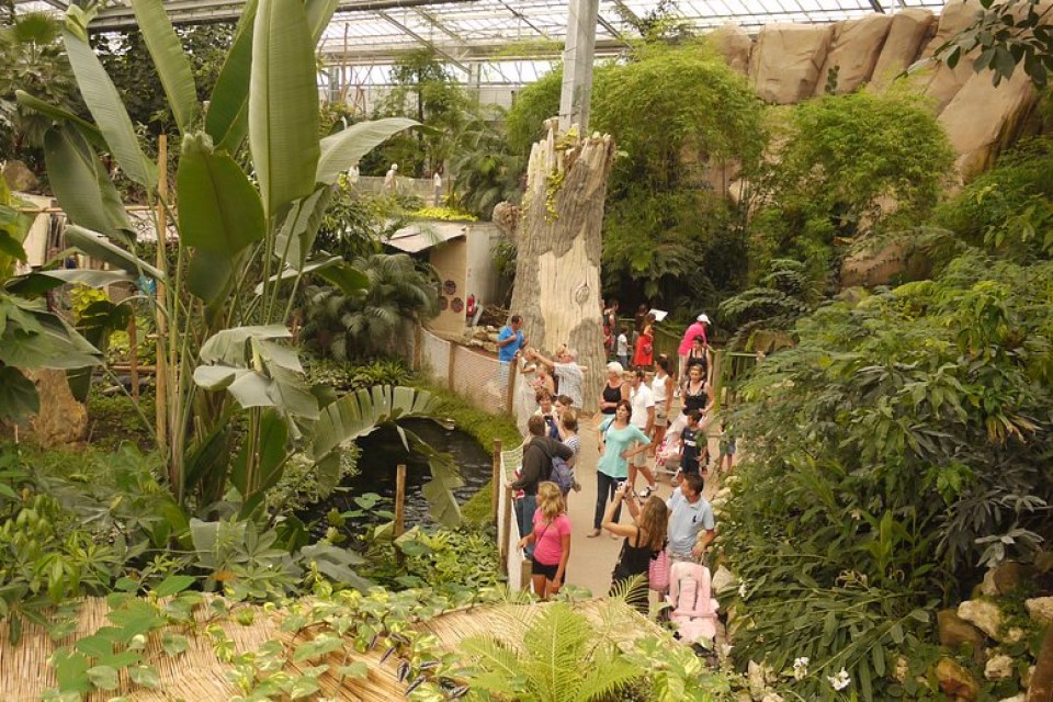 La serre tropicale de Biotropica.